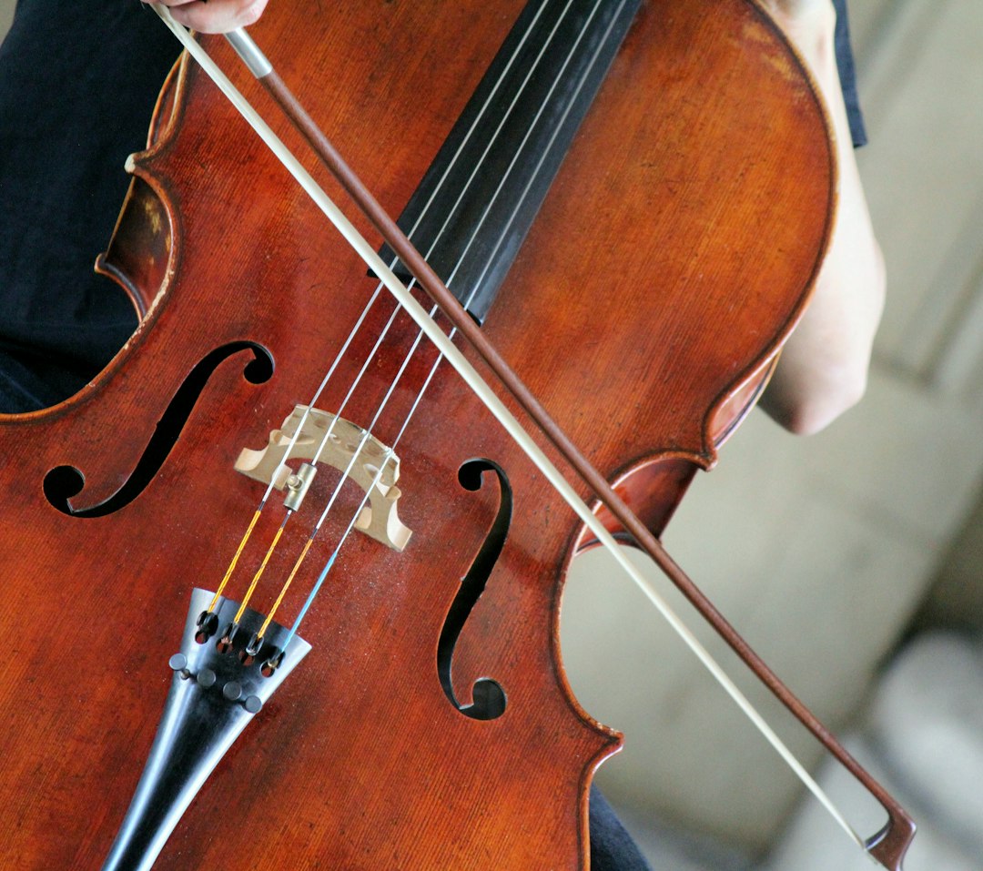 Best App to Learn Violin for Beginners Today